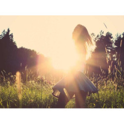 Aerodynamic Bronze Plate fr-FR